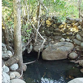 The Caldera Hot Springs has 4 natural thermal pools of different temperatures